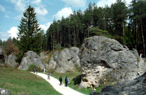 2004 01 006