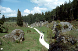 2004 01 007